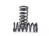 BC Racing BC Racing DS Series Coilover Kit - E39 525i 528i 530i 540i Sedan I-06-DS View 13