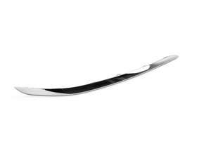 Genuine BMW Impact Strip - G11