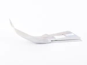 Genuine BMW Heat Resistant Plate - 51481832850