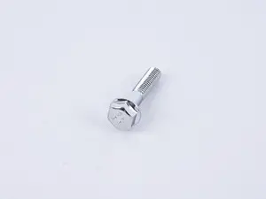 Flange Screw - Priced Each