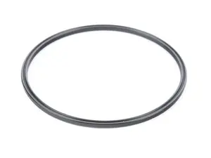 Sealing Ring