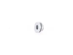 SCREW PLUG WITH GASKET RING