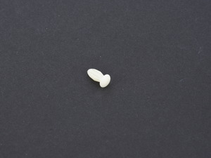 Genuine BMW Plastic Rivet - 64111355863
