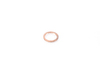 Fischer and Plath Fischer and Plath Drain Plug Washer 07119963132 View 1