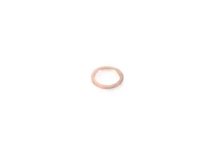 Fischer and Plath Drain Plug Washer