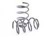 Koni Cup Kit - Eibach Springs With Koni Sport Shocks 1145 1018 View 2