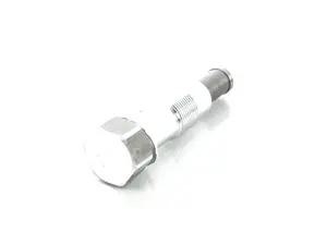 Bremmen Parts Chain Tensioner - With Gasket Ring