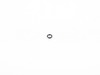 Genuine BMW O-Ring - E70, E71, F01, F02, F06, F07, F10, F12, F13, F15, F16 11537593308 View 1