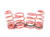 Megan Racing Lowering Spring Euro Version MR-LS-MC02 R50 R52 R53 MR-LS-MC02 View 1