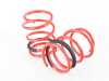 Megan Racing Lowering Spring Euro Version MR-LS-MC02 R50 R52 R53 MR-LS-MC02 View 3