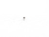 Genuine MINI DOWEL - (NO LONGER AVAILABLE) 11127606504 View 1