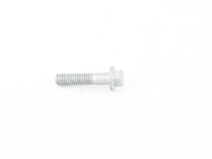 HEXAGON SCREW WITH F