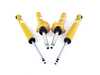 Bilstein MINI F56 B8 Strut Assembly Kit 22-245045KT View 1
