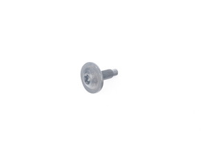 TORX SCREW WITH COLL