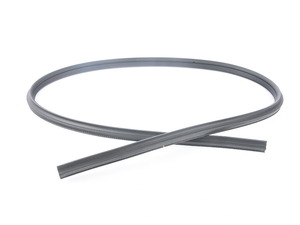 Genuine BMW Door Weatherstrip Left - 51767164993