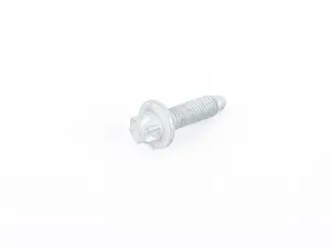 TORX SCREW WITH COLLAR