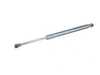 Genuine BMW Genuine BMW Gas Pressurized Spring F Trunk Lid - 51247304556 - F22 51247304556 View 1