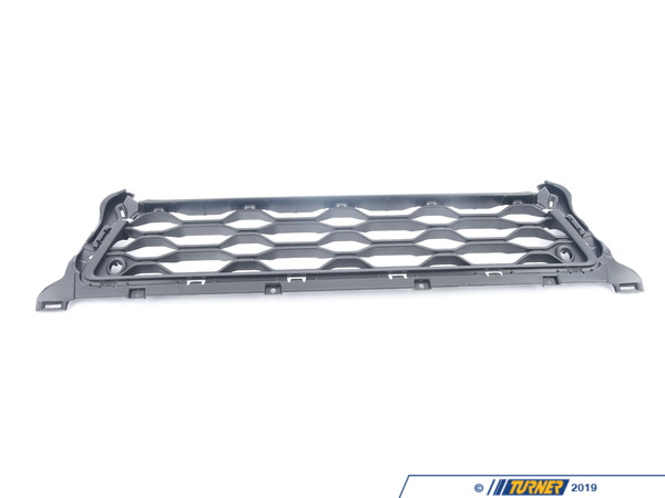 Genuine MINI GRID, CENTER 51117390548