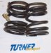 Turner Motorsport Eibach BMW Motorsport Race Spring set TMS1251 View 1