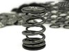 Supertech E36 M3, 325i, 328i Supertech High Performance Valve Spring Set TMS1504 View 3