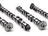 Schrick BMW S85 10 Cyl. 292/280-Degree - Camshaft Set TMS1182 View 1