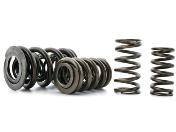 Ferrea E36 325, 328 & M3 Ferrea High Performance Valve Spring Set S10049-24