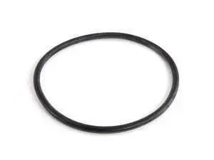 Thermostat O-ring