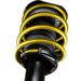 Genuine BMW E82 128i/135i Genuine BMW Performance Suspension Kit w Front Swaybar - (NO LONGER AVAILABLE) 33500444831G View 3