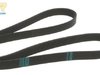 Continental BMW Engine Ribbed V-belt 11287519955 11287519955 View 3
