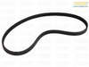 Continental Continental Air Conditioner Belt - F10 F12 E70 E71 F06 F01+ 11287631825 View 3