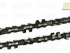 Schrick Schrick Camshaft Set - E36 M3-spec - 252/244 Degree TMS21521 View 4