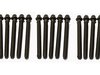 Packaged by Turner E28, E34 M5 Head Bolt Set TMS2071 View 1