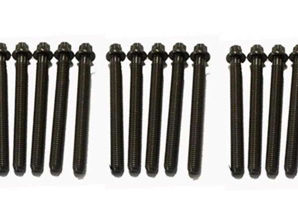 Packaged by Turner E28, E34 M5 Head Bolt Set TMS2071