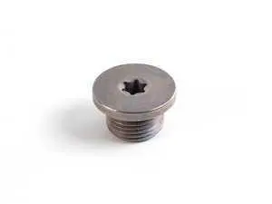 Genuine BMW Screw Plug, Inner Torx - 24111423986 - E39,E46