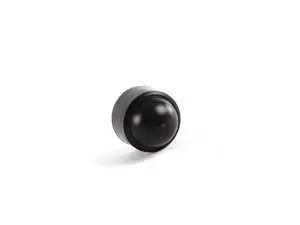Cap - Pack Of 10