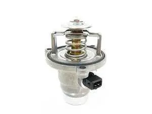 Wahler Thermostat - 105C