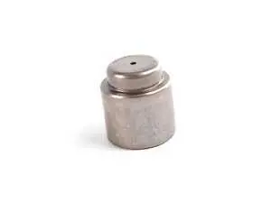 Genuine BMW Pilot Bearing