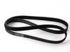 Continental BMW Engine Ribbed V-belt 11287519955 11287519955 View 1