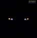 Turner Motorsport LED Bright White Angel Eye Bulb Upgrade- E39 E60 E63 E65 X5 X3 - (NO LONGER AVAILABLE) LHUXX1W3Y View 9