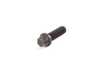 Genuine BMW Genuine BMW Torx Bolt - 11311736326 11311736326 View 1