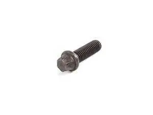Genuine BMW Torx Bolt - 11311736326