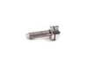 Genuine BMW Genuine BMW Torx Bolt M6X22,5 - 24117552348 - E53 24117552348 View 2