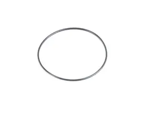 Genuine MINI O-ring - 07119908450