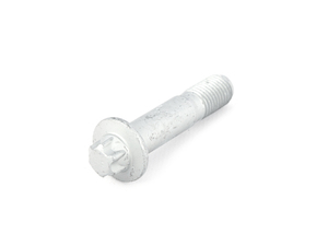 Genuine BMW Torx Screw