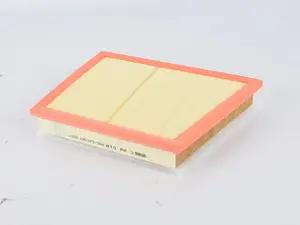 BWM & MINI B48 2.0 Air Filter C 22 018