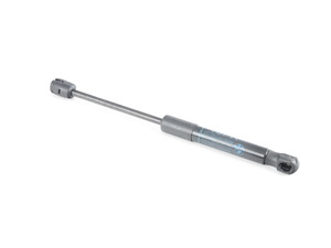 Hood Lift Support - F10