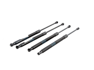 Hood And Trunk Strut Kit - E92