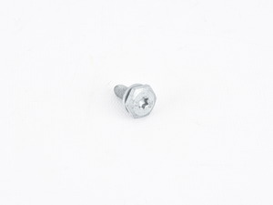 Genuine BMW Torx Screw, Self-threading - 07149231823