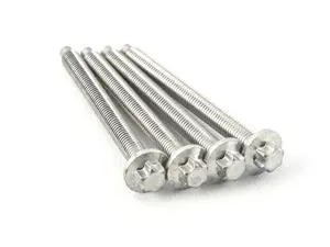 SET OF ALU. SCREWS G