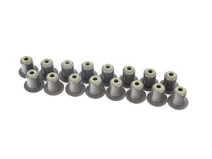 REPAIR KIT VALVE SEAL RING